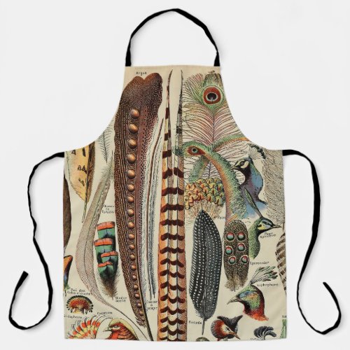 Feather Bird Wildlife Antique Feathers Apron