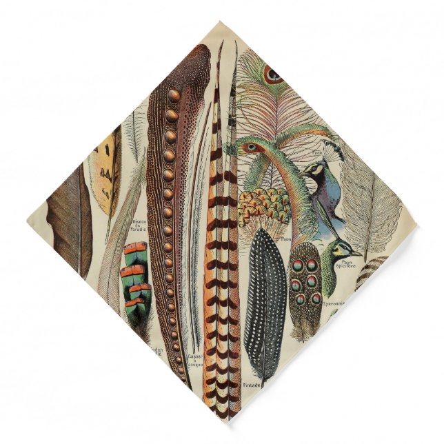 Feather Bird Wildlife Antique Feathers Bandana (Front)