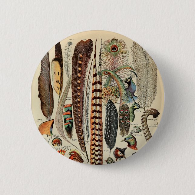 Feather Bird Wildlife Antique Feathers Button (Front)