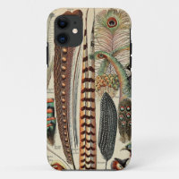 Feather Bird Wildlife Antique Feathers