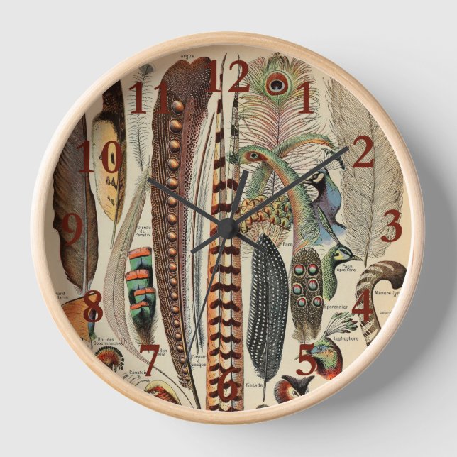 Feather Bird Wildlife Antique Feathers Clock (Front)