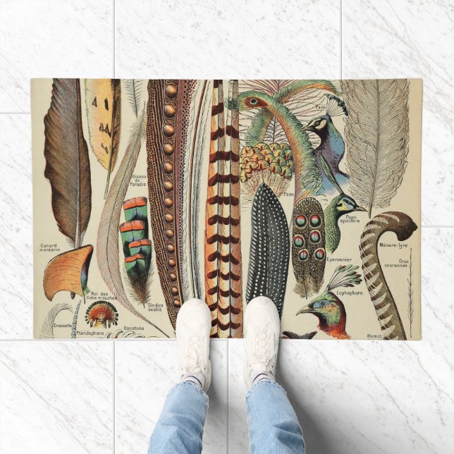 Feather Bird Wildlife Antique Feathers Doormat (Indoor)