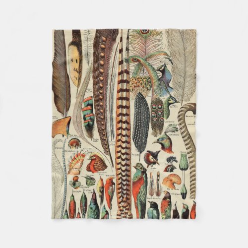 Feather Bird Wildlife Antique Feathers Fleece Blanket