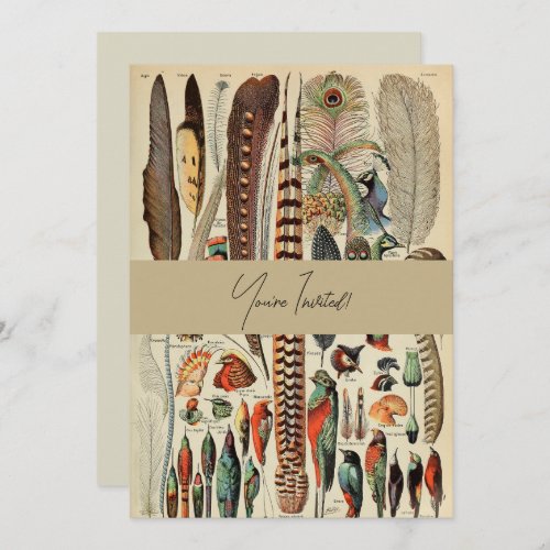 Feather Bird Wildlife Antique Feathers Invitation