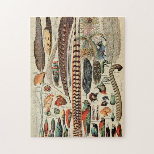 Feather Bird Wildlife Antique Feathers Jigsaw Puzzle