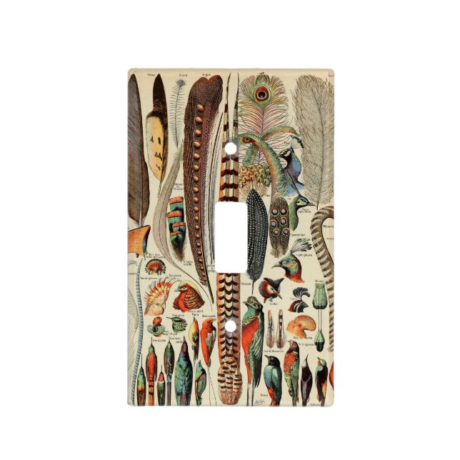 Feather Bird Wildlife Antique Feathers Light Switch Cover (Front)