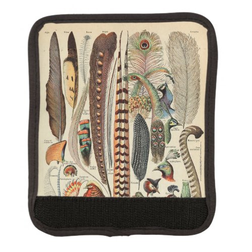 Feather Bird Wildlife Antique Feathers Luggage Handle Wrap