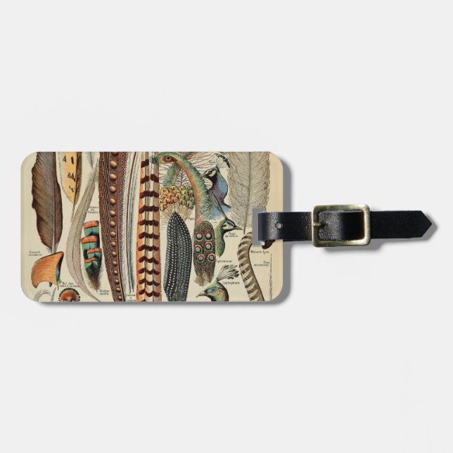 Feather Bird Wildlife Antique Feathers Luggage Tag (Front Horizontal)