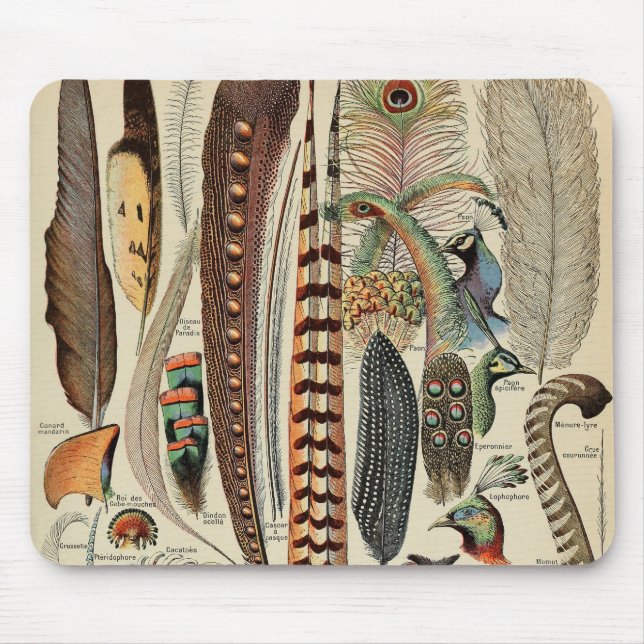 Feather Bird Wildlife Antique Feathers Mouse Pad (Front)