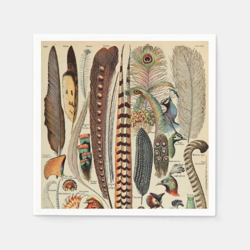 Feather Bird Wildlife Antique Feathers Napkins