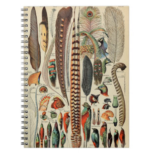 Feather Bird Wildlife Antique Feathers Notebook
