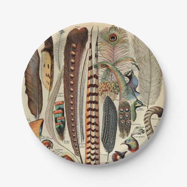 Feather Bird Wildlife Antique Feathers Paper Plates (Front)