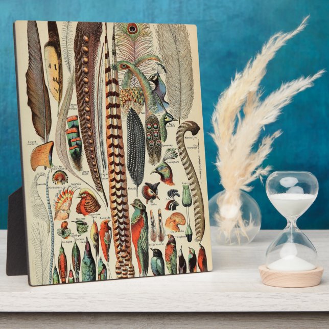 Feather Bird Wildlife Antique Feathers Plaque (Side)