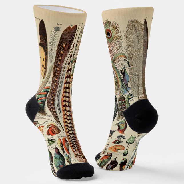 Feather Bird Wildlife Antique Feathers Socks (Angled)