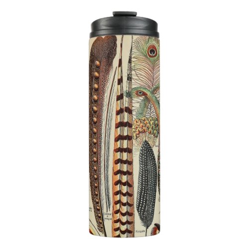 Feather Bird Wildlife Antique Feathers Thermal Tumbler