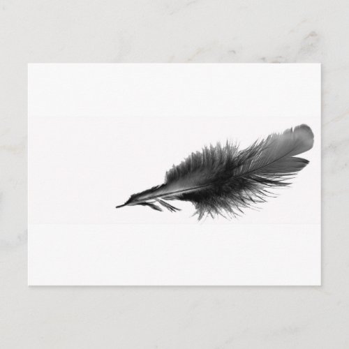 Feather Black Postcard