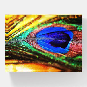 Feather by Shirley Taylor Paperweight