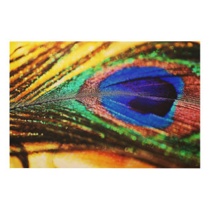 Feather by Shirley Taylor Wood Wall Decor