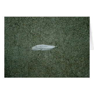 Feather Cards