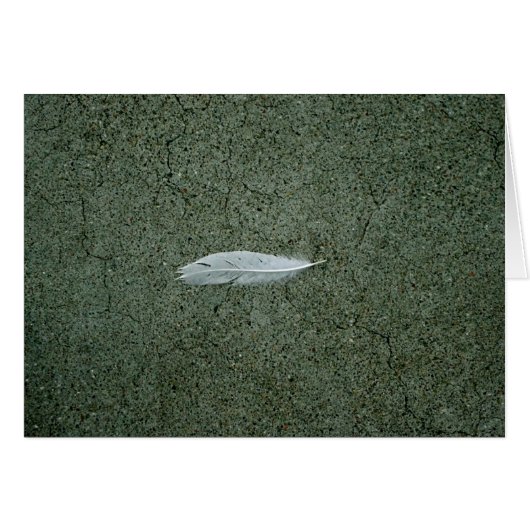Feather Cards (Front Horizontal)