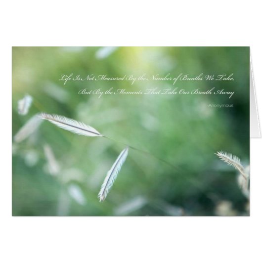 feather cards (Front Horizontal)