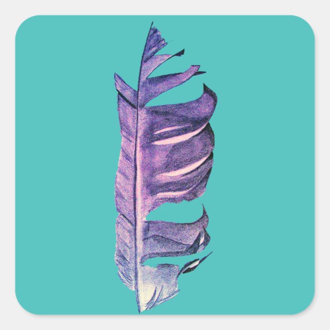 Feather drawing fine art original illustration square sticker (Front)