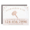 Feather Duster Professional Maid & House Cleaning 
