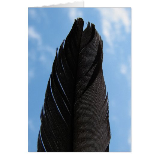 Feather in the Sky Cards (Front)