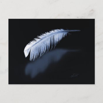 Feather Light Postcard by iiphotoArt at Zazzle