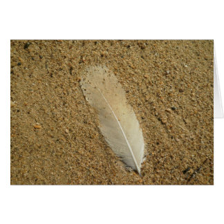 Feather on the Sand Cards