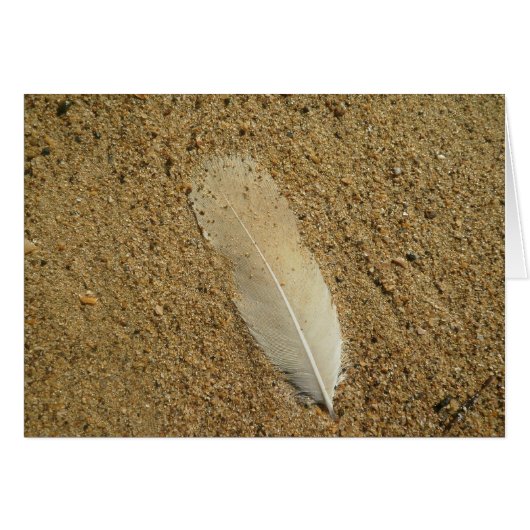 Feather on the Sand Cards (Front Horizontal)