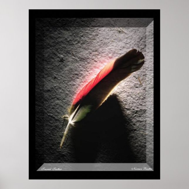 Feather Poster (Front)