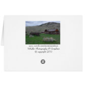 Feather Regalia Cards (Back Horizontal)