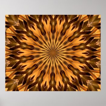 Feather Shield Medallion Poster by artinphotography at Zazzle