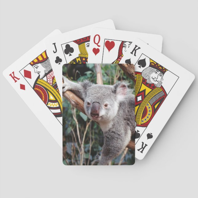 Featherdale Wildlife Park, Koala Bears Poker Cards (Back)