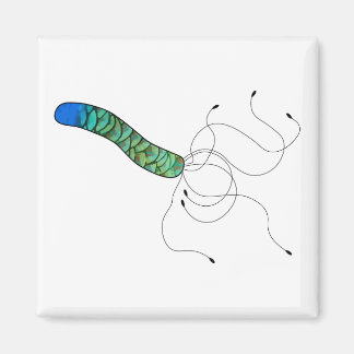 Feathered art microbe magnent magnet