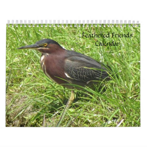 Feathered Friends 2013 Calendar _ Encore Edition