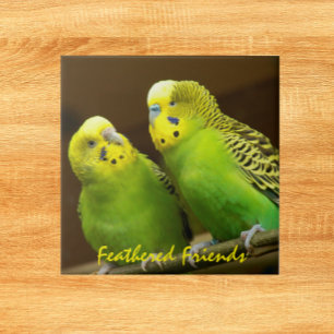Feathered Friends Green and Yellow Parakeets Ceramic Tile