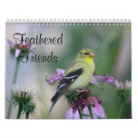 Feathered Friends - Wild Birds Calendar at Zazzle