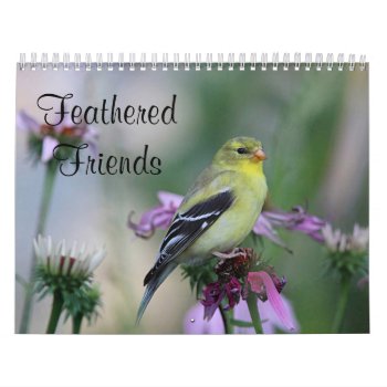 Feathered Friends - Wild Birds Calendar by backyardwonders at Zazzle