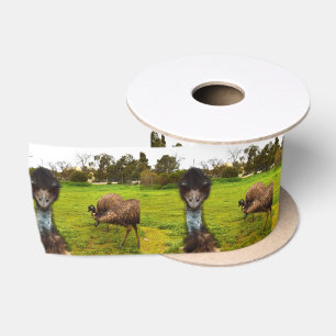 "Feathered Interruption: The Great Emu Photobomb" Satin Ribbon
