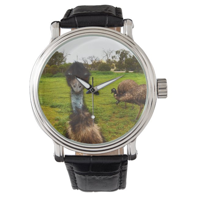 "Feathered Interruption: The Great Emu Photobomb" Watch (Front)
