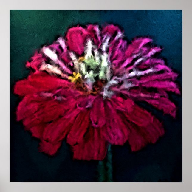Feathered Zinnia Poster (Front)