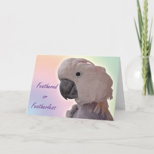 Featherless Card