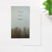 Feathers (Desk)