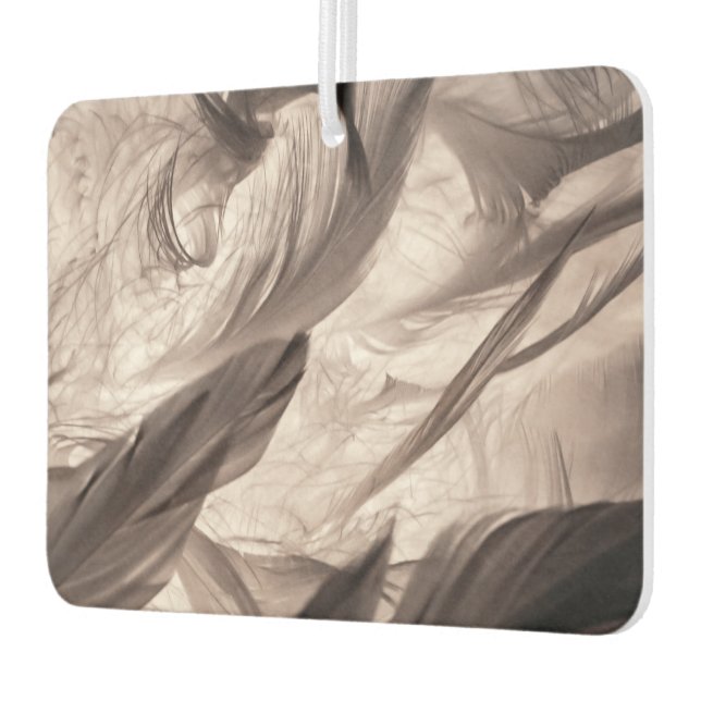 Feathers Air Freshener (Left)