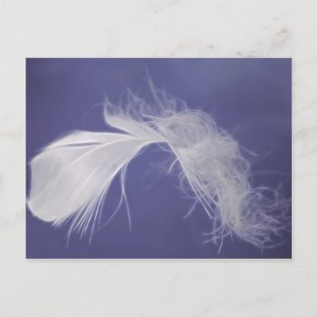 Feathers Are Symbols Of Spirituality Postcard by laureenr at Zazzle