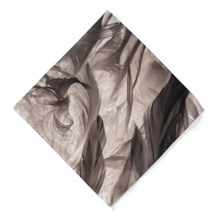 Feathers Bandana