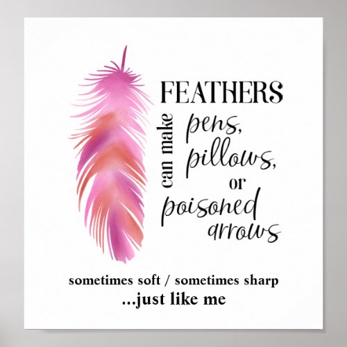 Feathers Can Make Pens Pillows Poisoned Arrows Poster