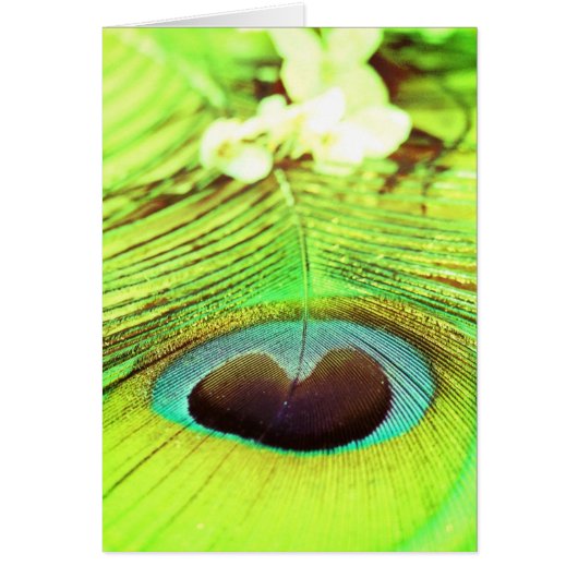 FEATHERS CARDS (Front)